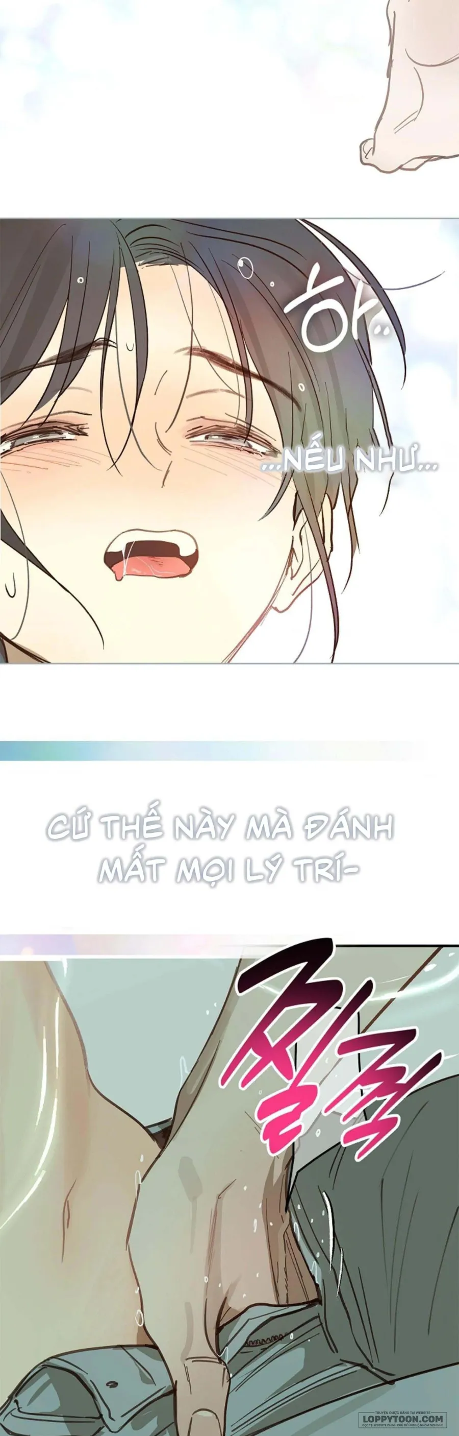 Đóa Hoa Là Mồi Nhử - Chap 30 - Trang 27