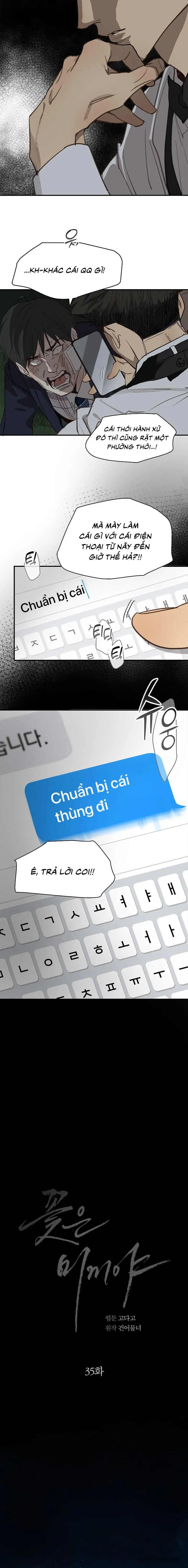 Đóa Hoa Là Mồi Nhử - Chap 35 - Trang 17