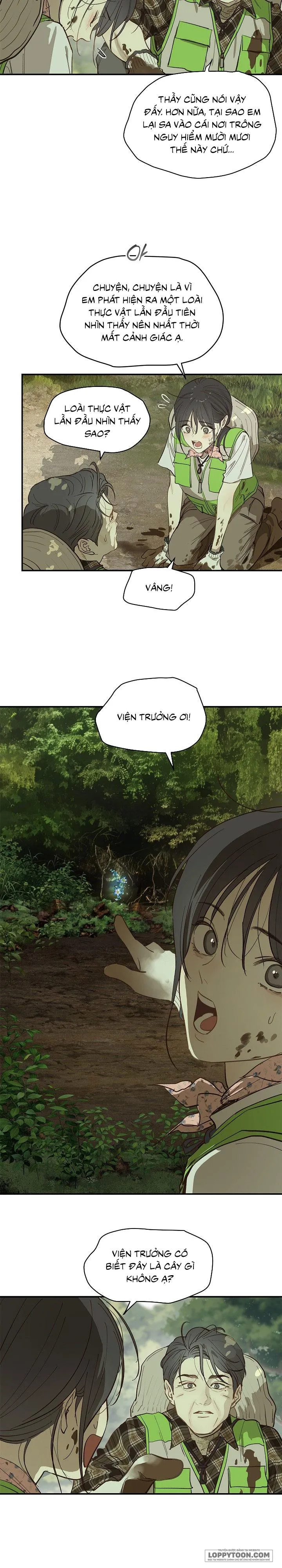 Đóa Hoa Là Mồi Nhử - Chap 38 - Trang 19