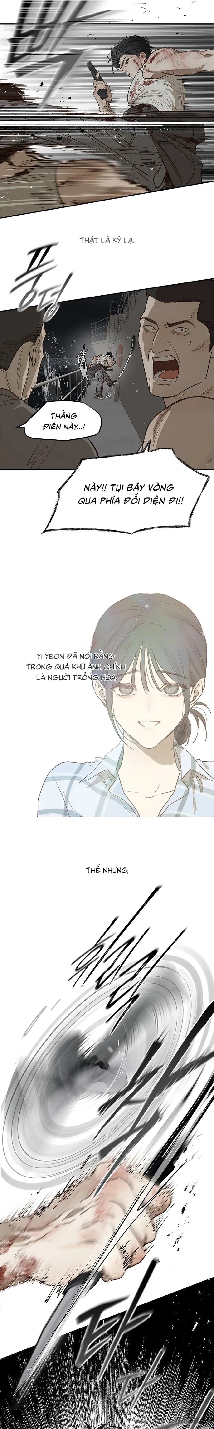 Đóa Hoa Là Mồi Nhử - Chap 43 - Trang 17