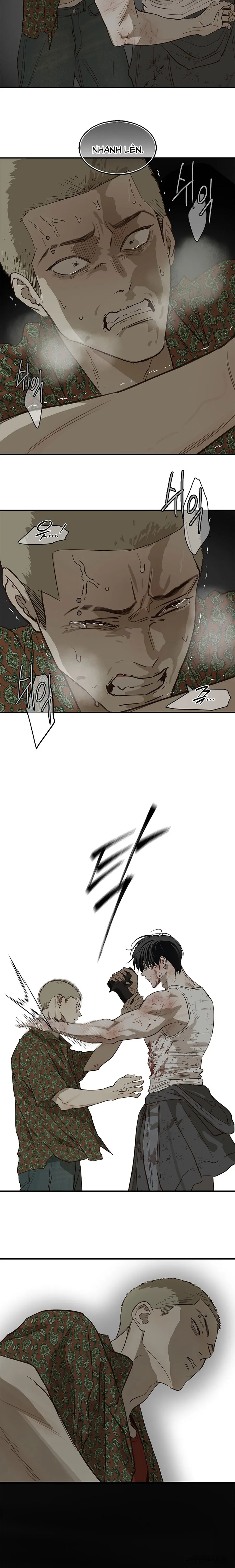Đóa Hoa Là Mồi Nhử - Chap 43 - Trang 9