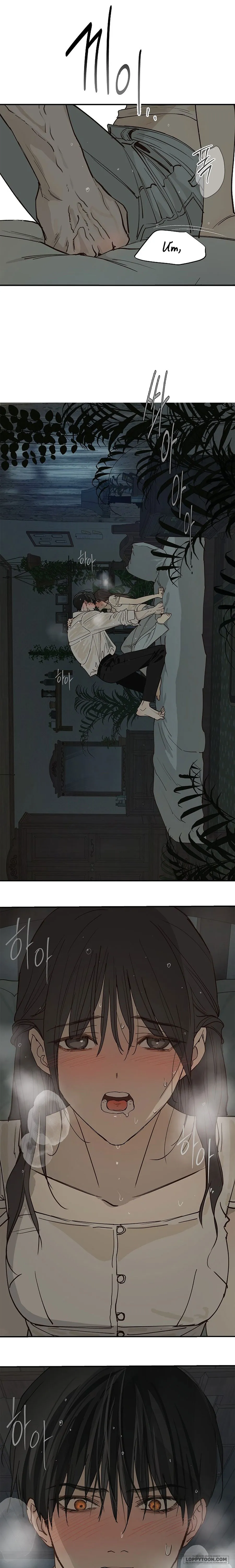 Đóa Hoa Là Mồi Nhử - Chap 48 - Trang 2