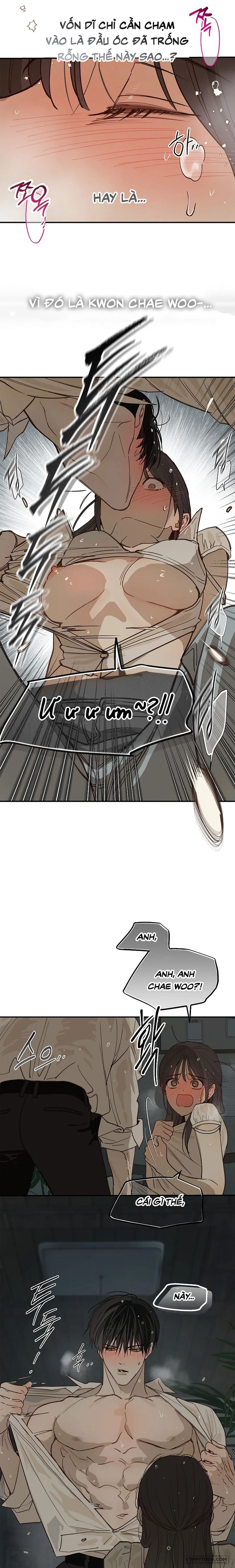 Đóa Hoa Là Mồi Nhử - Chap 48 - Trang 4