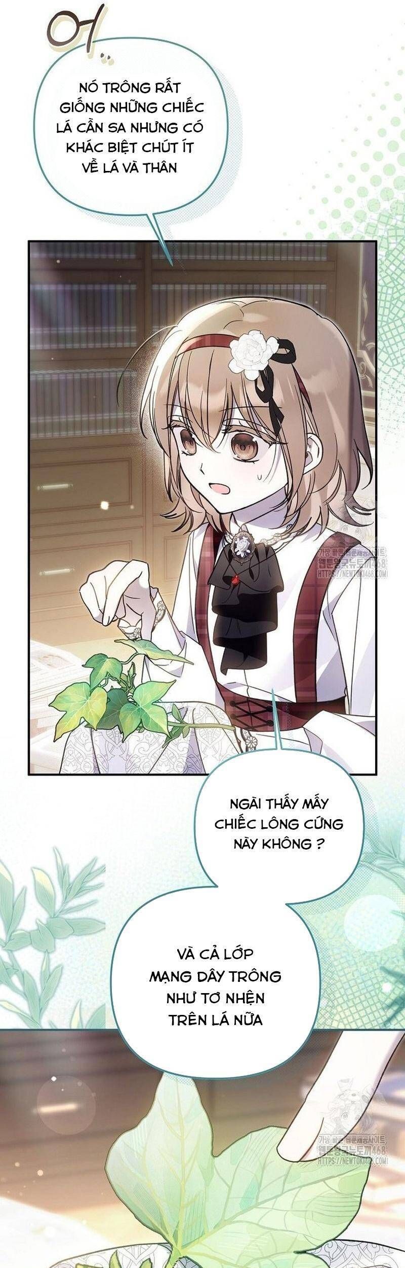 Độc Chiếm Sự Sủng Ái Của Công Nương Út, Mọi Người Đều Ám Ảnh Tôi - Chap 23 - Trang 13