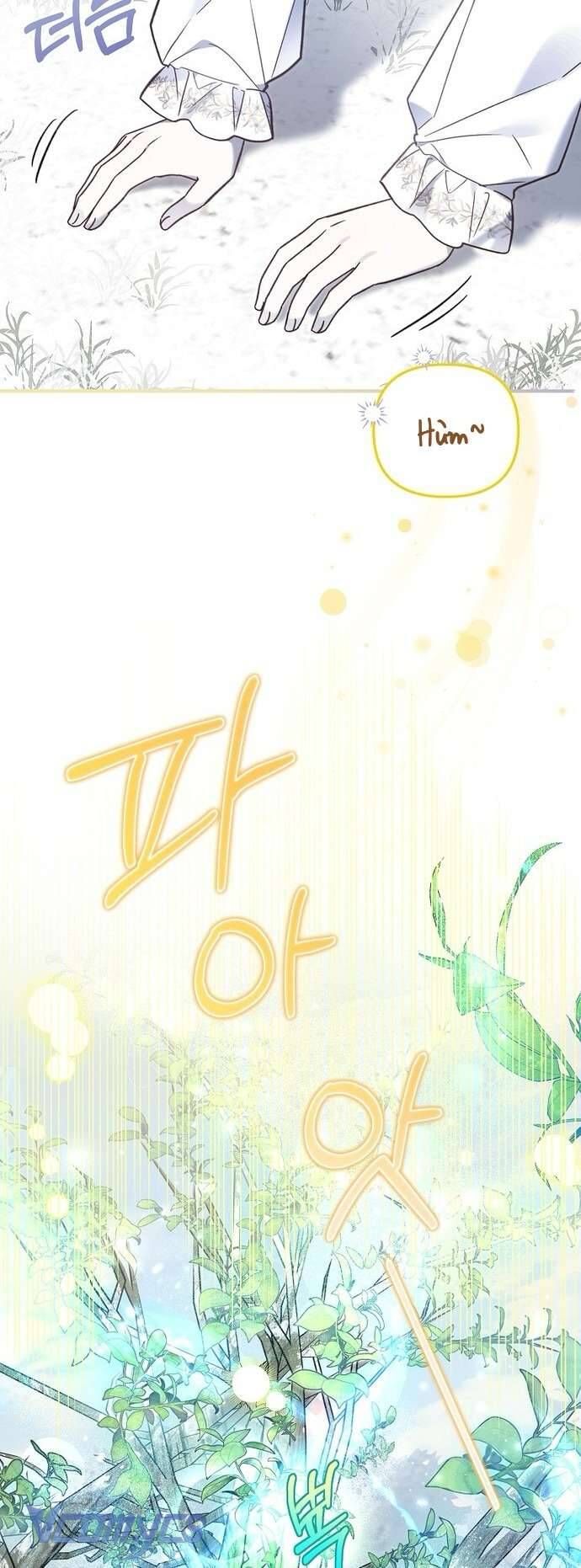 Độc Chiếm Sủng Ái Của Công Chúa Út, Mọi Người Đều Say Mê Tôi. - Chap 16 - Trang 19