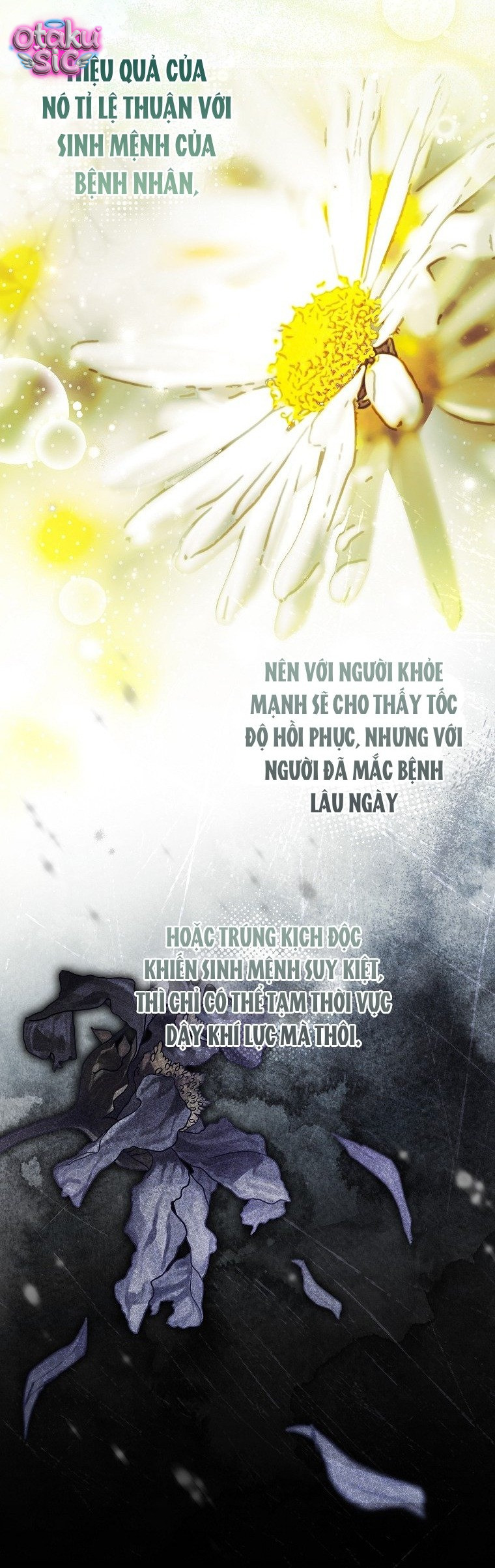 Độc Chiếm Sủng Ái Của Công Chúa Út, Mọi Người Đều Say Mê Tôi. - Chap 53 - Trang 42