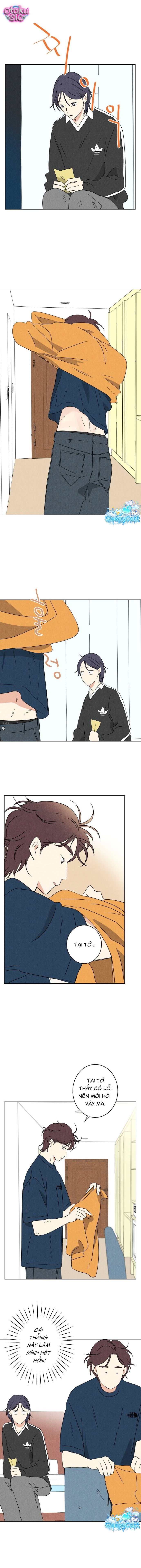 Dư âm hồi kết - Chap 8 - Trang 11