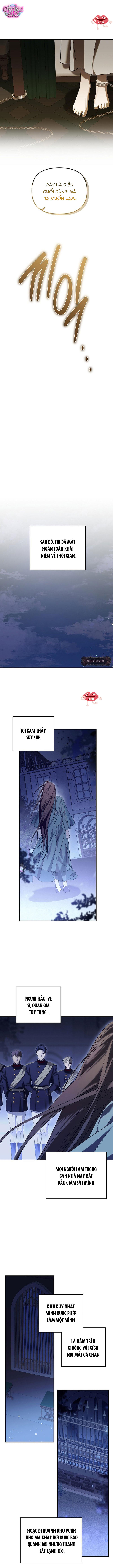 Dù Sao Chúng Ta Cũng Đã Kết Hôn Rồi - Chap 24 - Trang 8