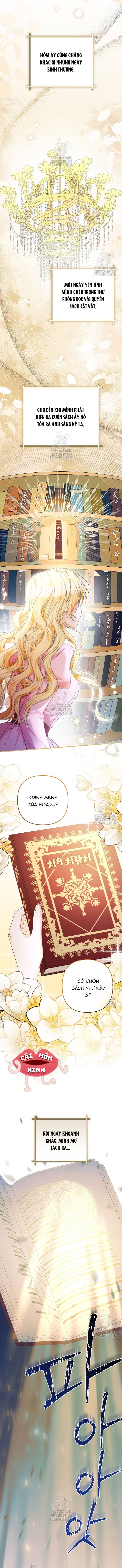 Đừng Cố Chấp Nữa, Chúng Ta Ly Hôn Đi! - Chap 1 - Trang 6