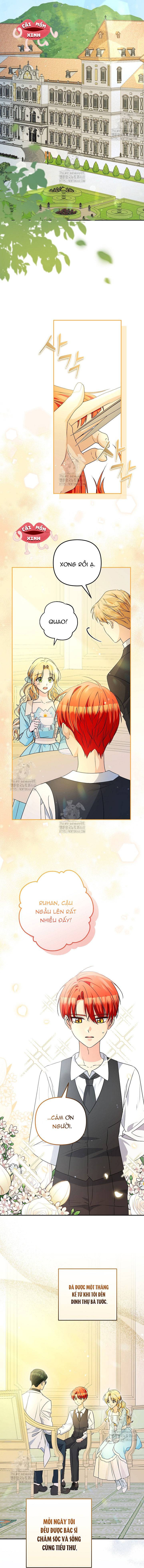 Đừng Cố Chấp Nữa, Chúng Ta Ly Hôn Đi! - Chap 3 - Trang 4