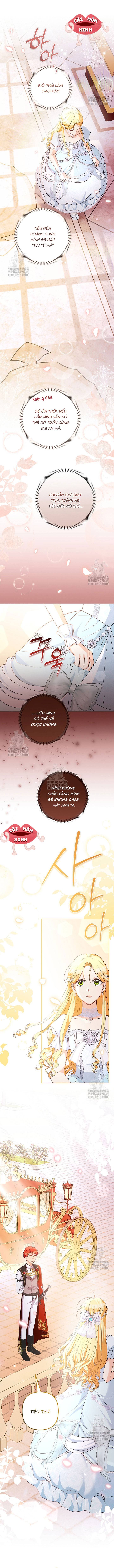 Đừng Cố Chấp Nữa, Chúng Ta Ly Hôn Đi! - Chap 5 - Trang 11