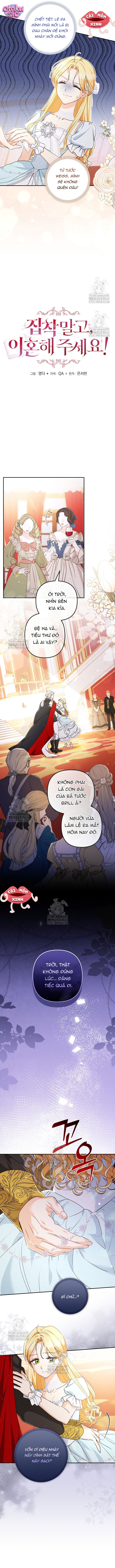 Đừng Cố Chấp Nữa, Chúng Ta Ly Hôn Đi! - Chap 6 - Trang 2