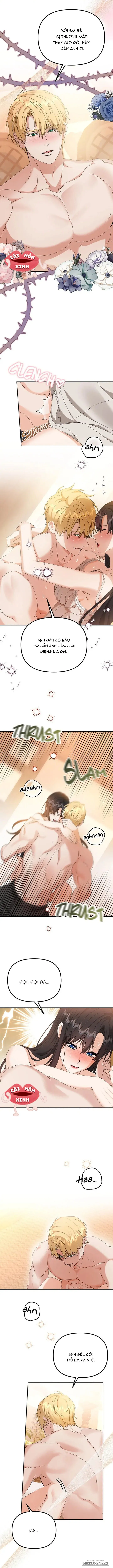 Dũng Sĩ Vị Tha - Chap 50 - Trang 3
