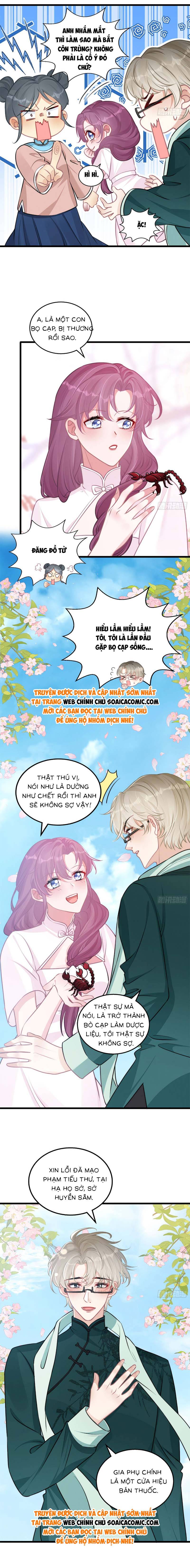 Đừng Trêu Chọc! Độc Nữ Trọng Sinh Chỉ Vì Báo Thù - Chap 4 - Trang 9