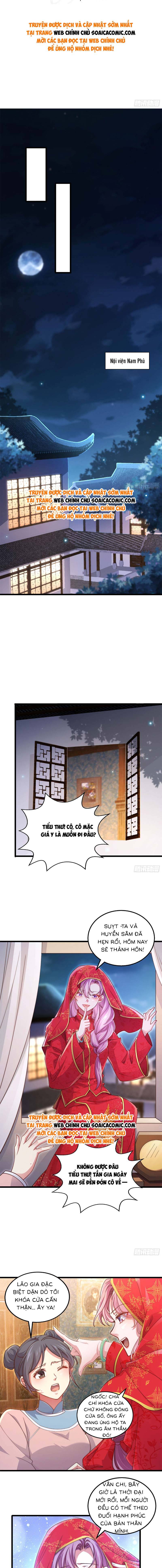 Đừng Trêu Chọc! Độc Nữ Trọng Sinh Chỉ Vì Báo Thù - Chap 5 - Trang 1