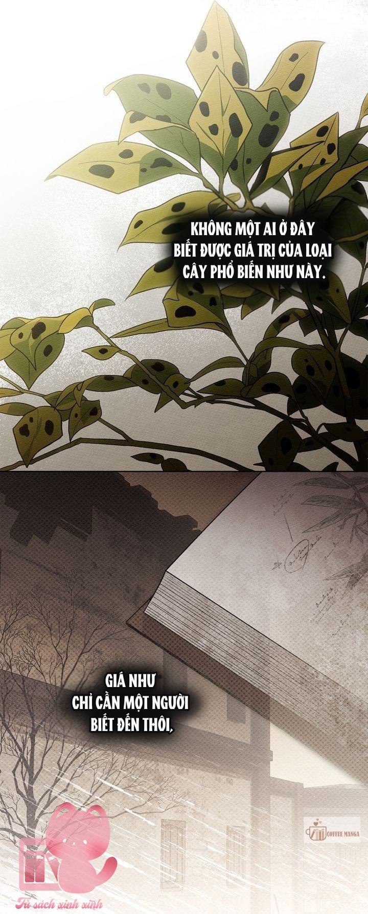 Dưới Tán Cây Sồi - Chap 117 - Trang 15