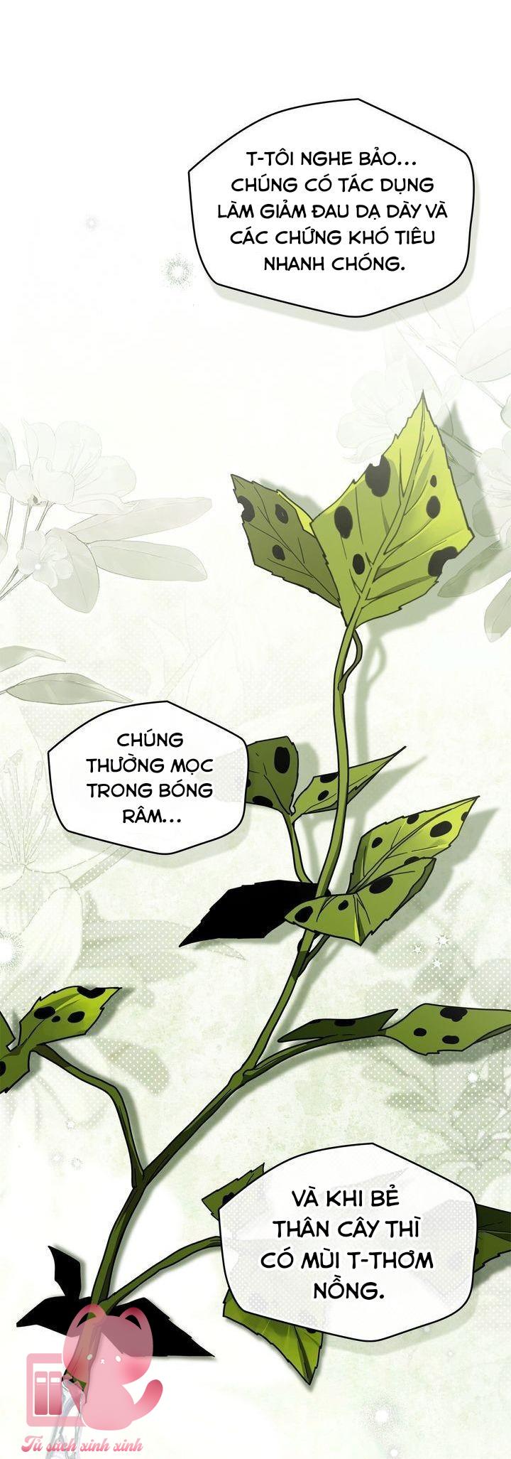 Dưới Tán Cây Sồi - Chap 117 - Trang 7