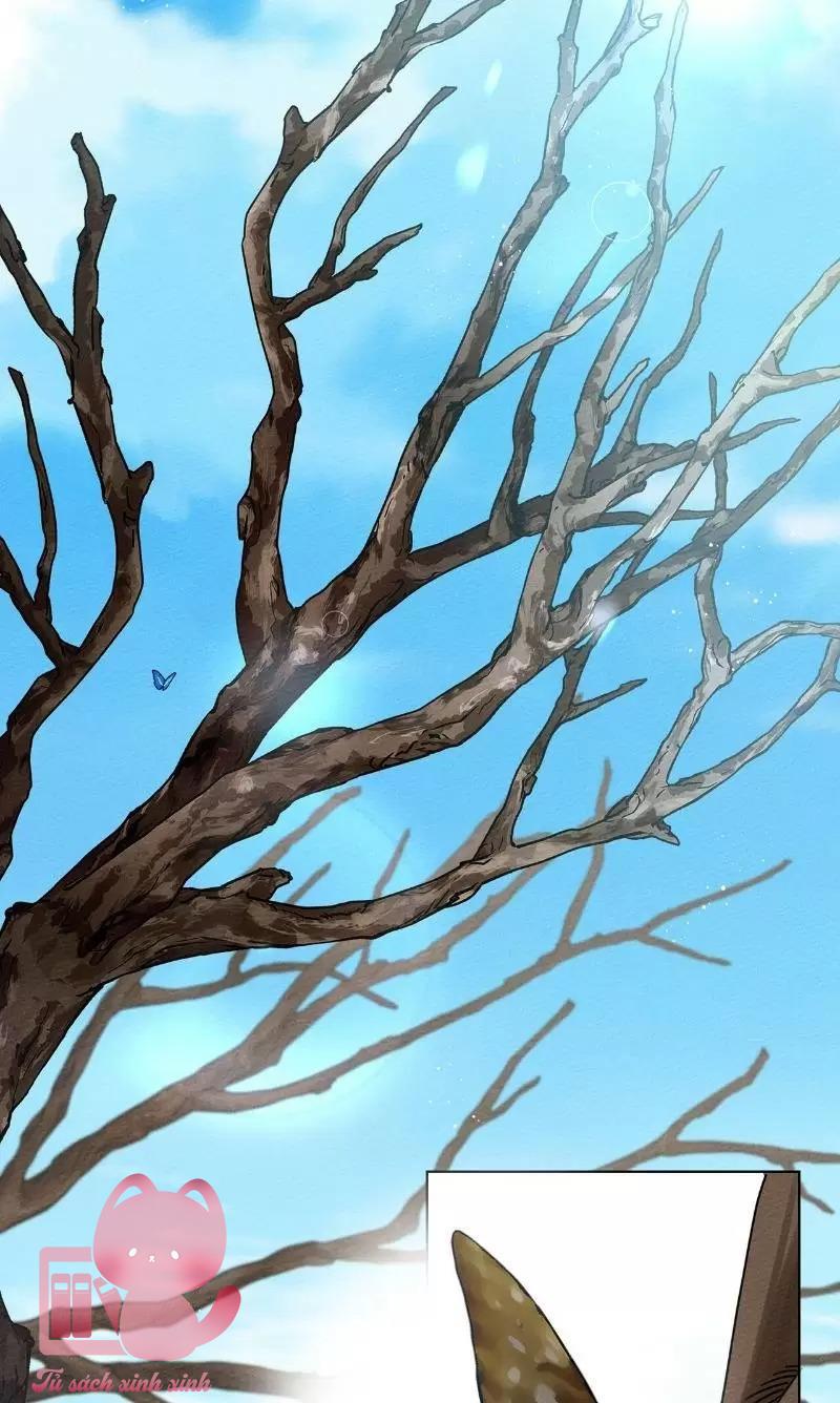 Dưới Tán Cây Sồi - Chap 16 - Trang 5