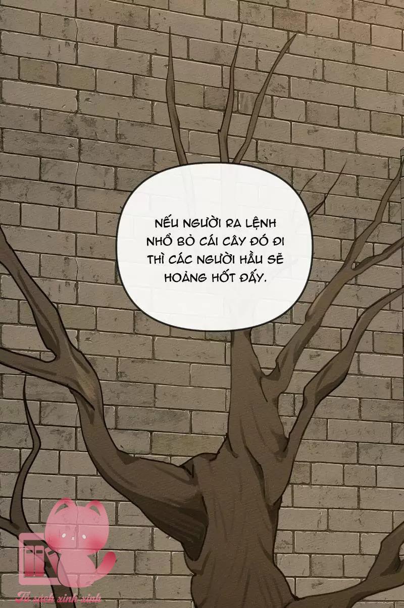 Dưới Tán Cây Sồi - Chap 18 - Trang 55