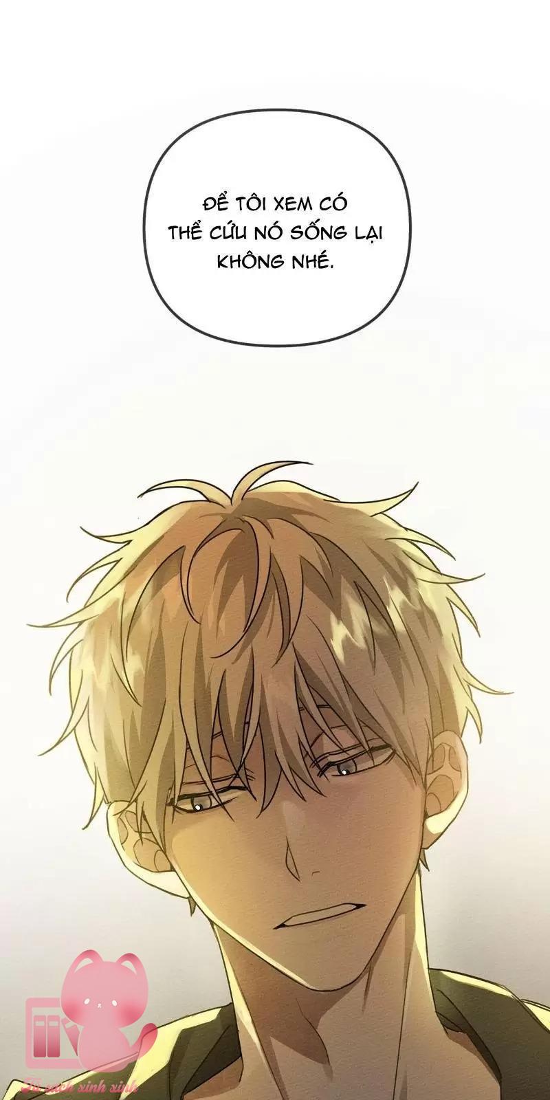 Dưới Tán Cây Sồi - Chap 18 - Trang 84