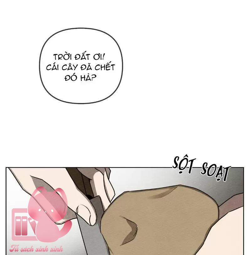 Dưới Tán Cây Sồi - Chap 19 - Trang 5