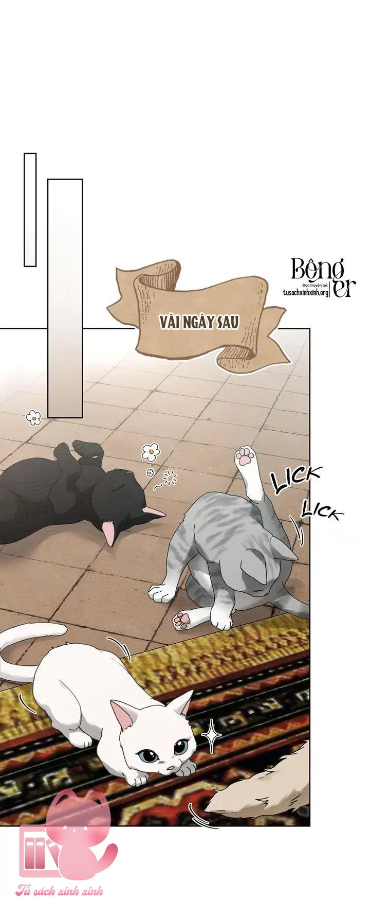 Dưới Tán Cây Sồi - Chap 74 - Trang 35