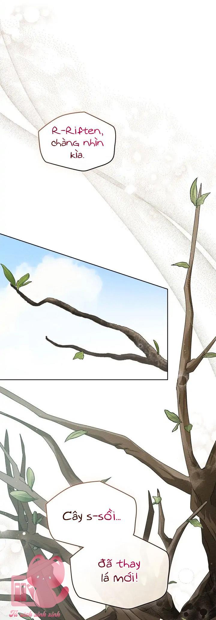 Dưới Tán Cây Sồi - Chap 78 - Trang 27