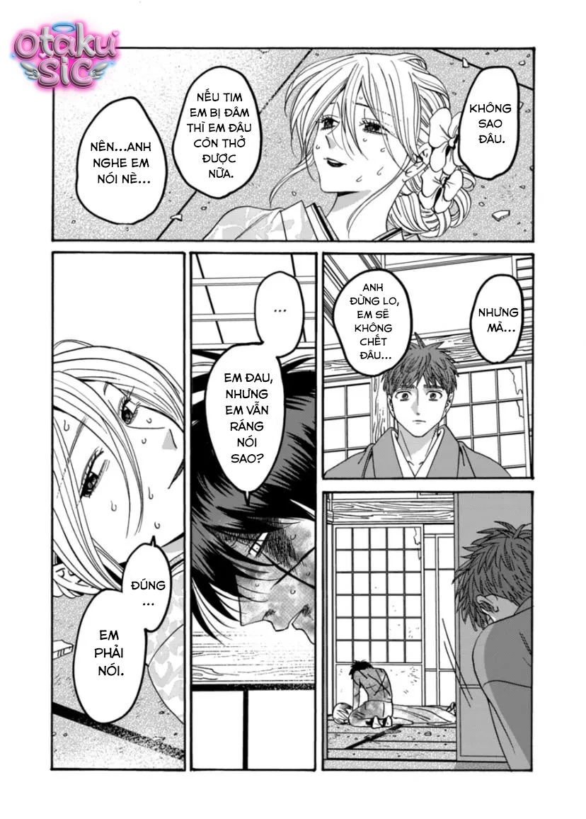 Firefly Wedding - Chap 70 - Trang 11