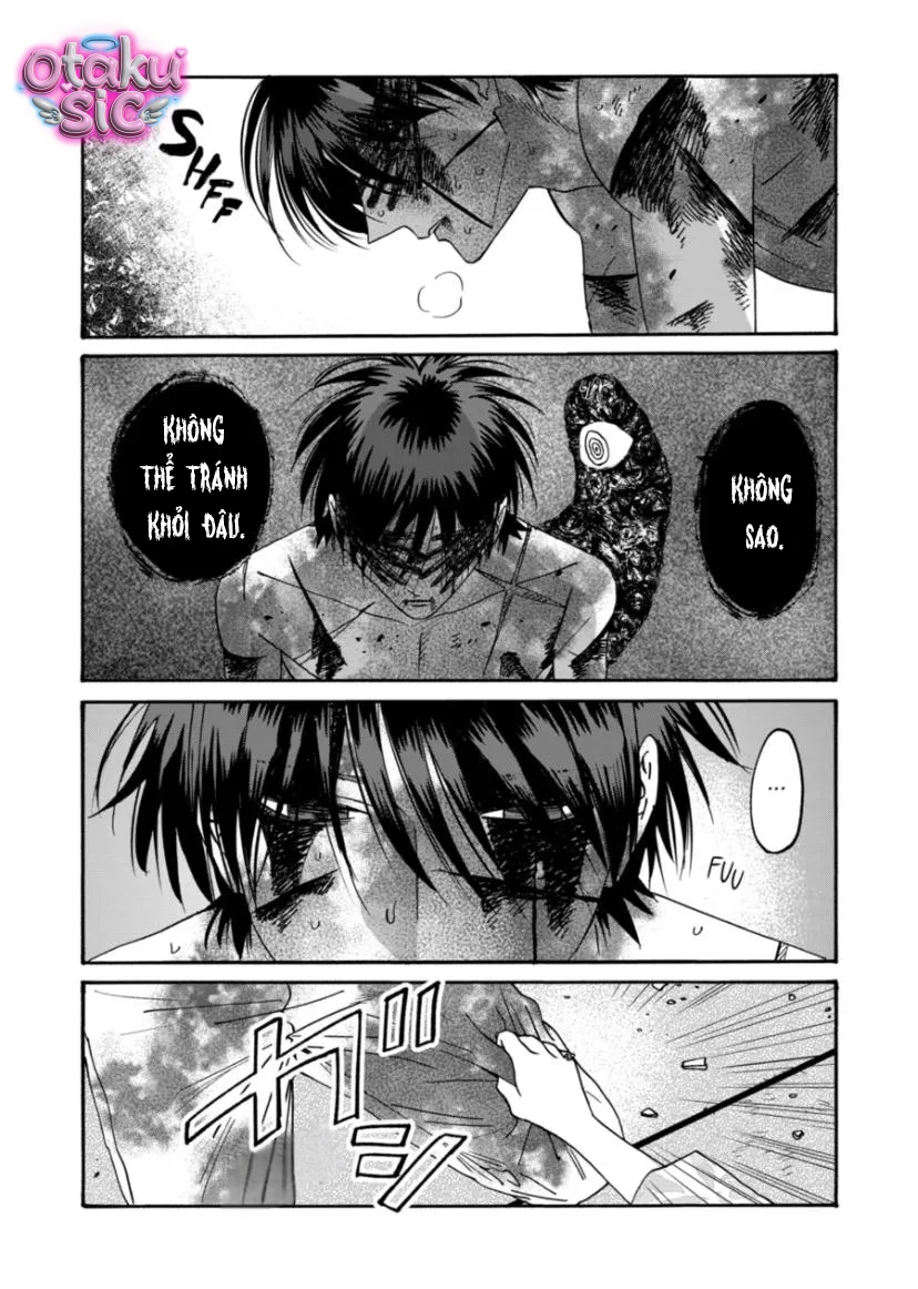 Firefly Wedding - Chap 70 - Trang 16