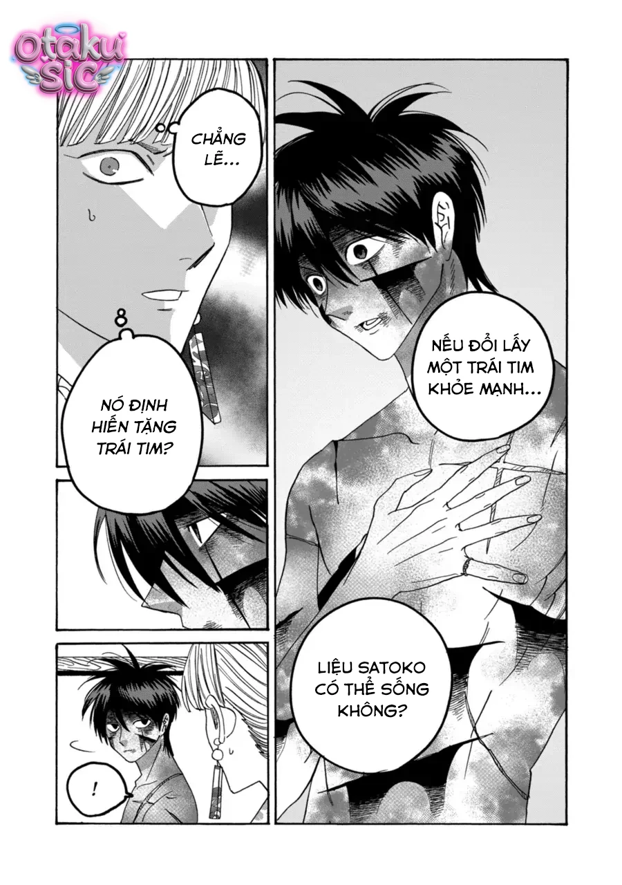 Firefly Wedding - Chap 71 - Trang 29