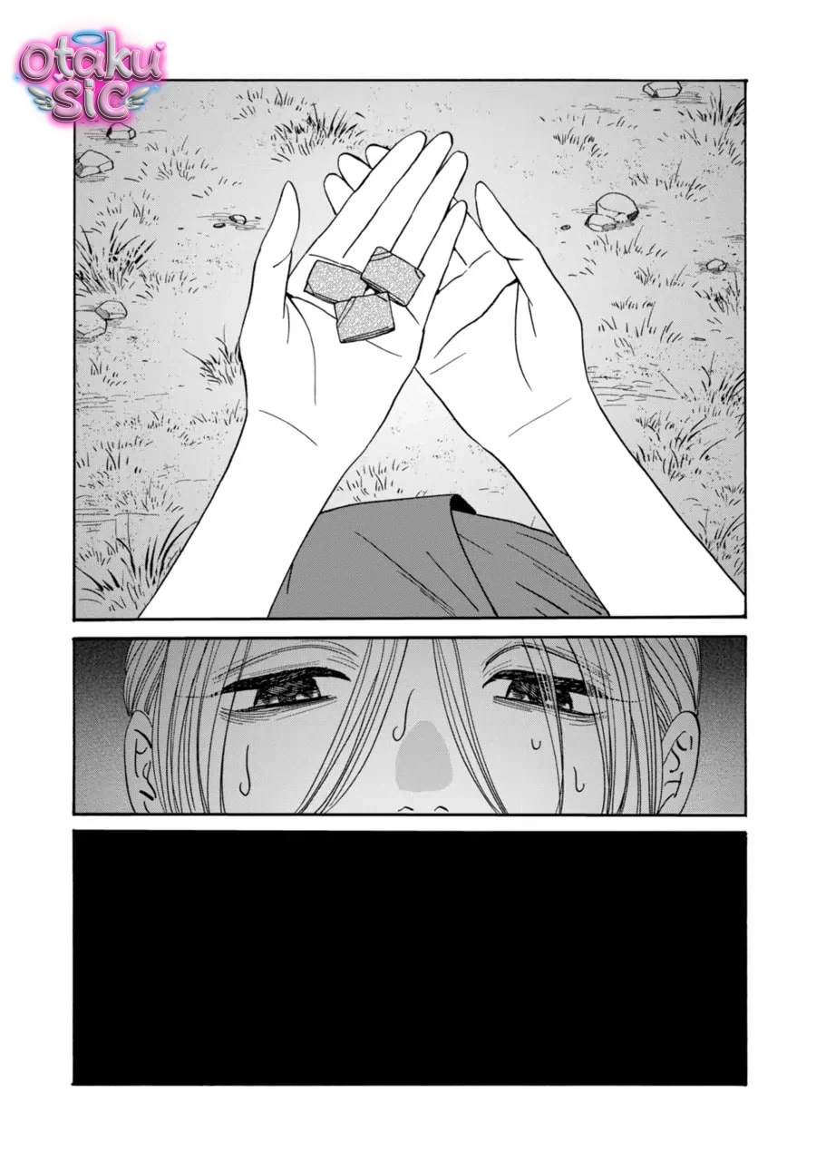 Firefly Wedding - Chap 73 - Trang 29