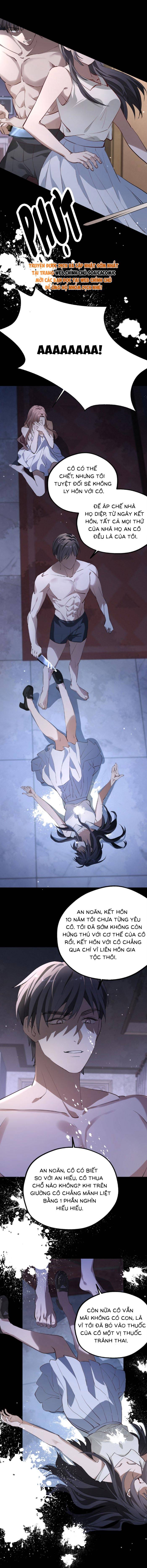 Gả Cho Kẻ Thù Của Người Cũ Sau Trùng Sinh - Chap 1 - Trang 10