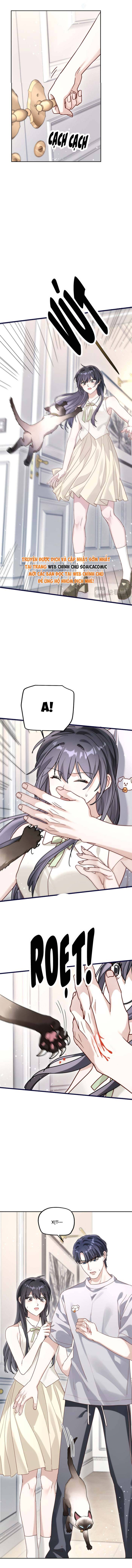 Gả Cho Kẻ Thù Của Người Cũ Sau Trùng Sinh - Chap 36 - Trang 5