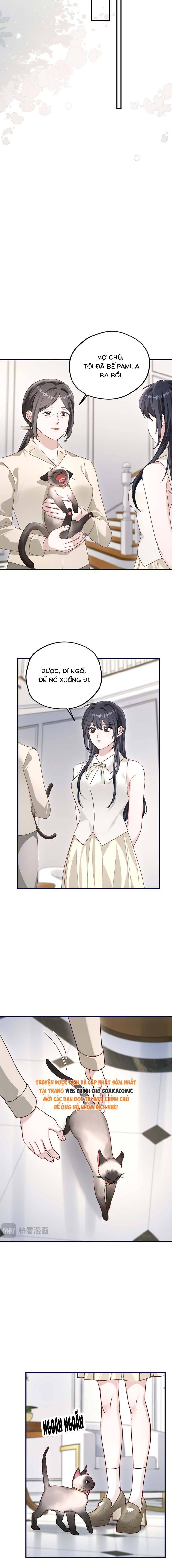 Gả Cho Kẻ Thù Của Người Cũ Sau Trùng Sinh - Chap 37 - Trang 8