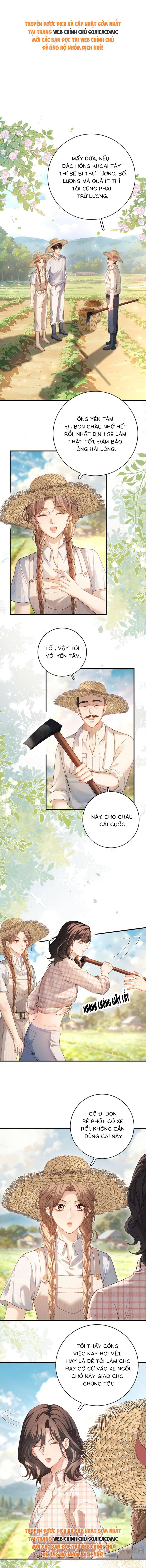 Giả Vờ Làm Giới Thượng Lưu - Chap 33 - Trang 1