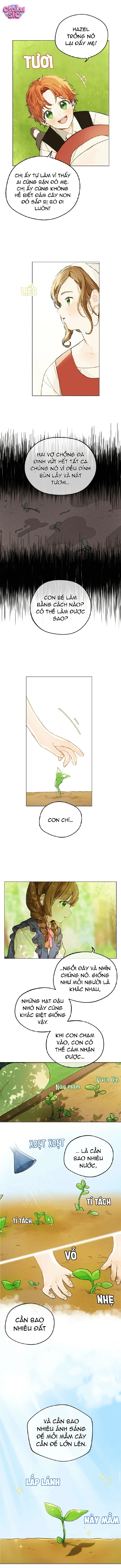 Góc bình yên cạnh vương triều - Chap 1 - Trang 11