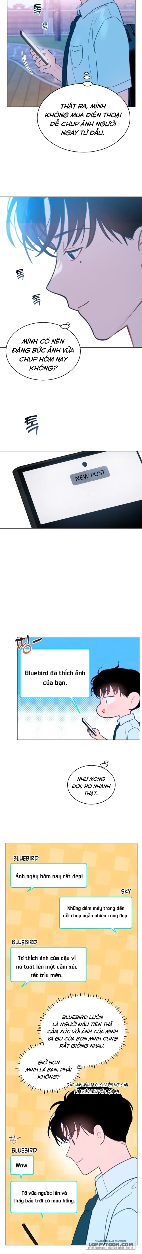 Gửi trời hạ dịu dàng kia - Chap 1 - Trang 7