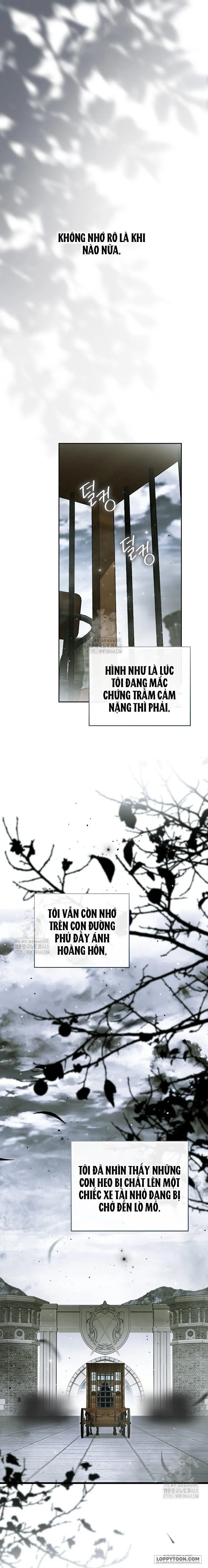 Hầu Tước Maron - Chap 1 - Trang 1