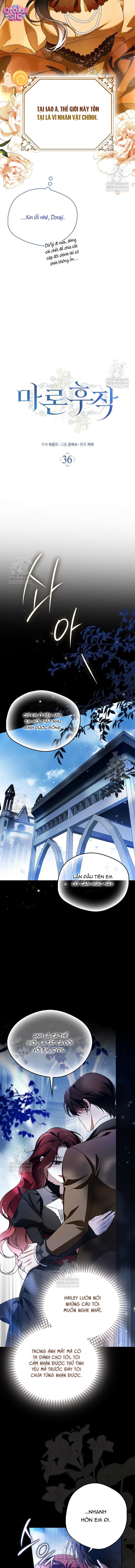 Hầu Tước Maron - Chap 36 - Trang 6