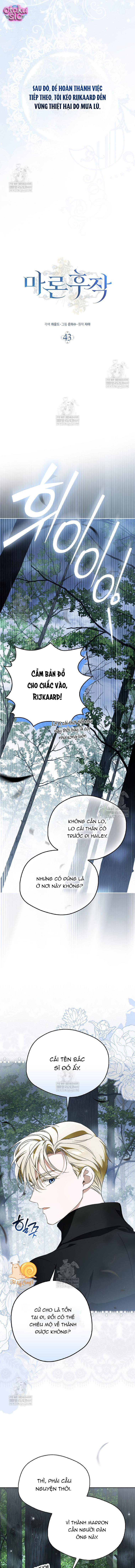 Hầu Tước Maron - Chap 43 - Trang 2