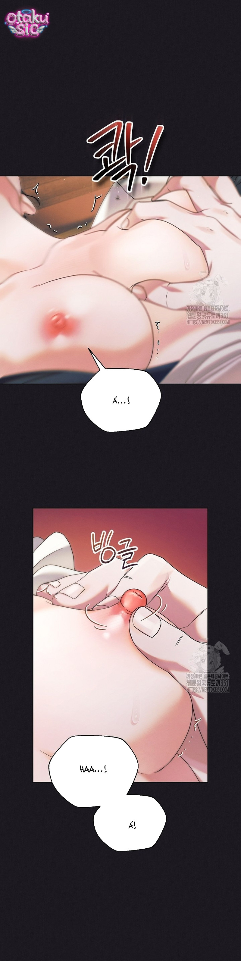 Hãy Cầu Xin Ta Đi - Chap 2 - Trang 3