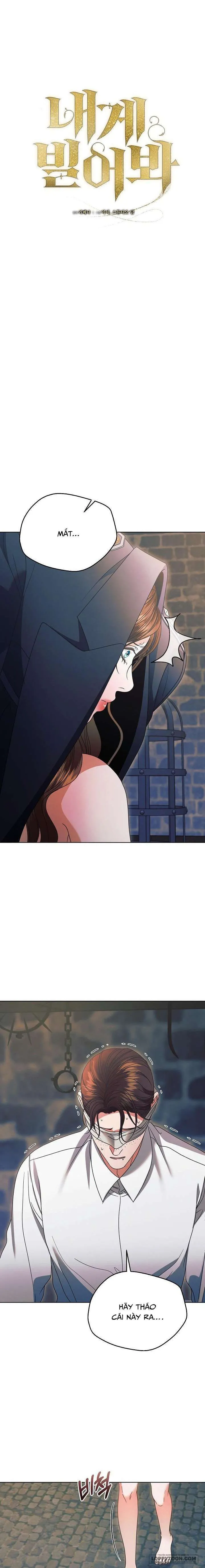 Hãy Cầu Xin Tôi Đi - Chap 24 - Trang 8