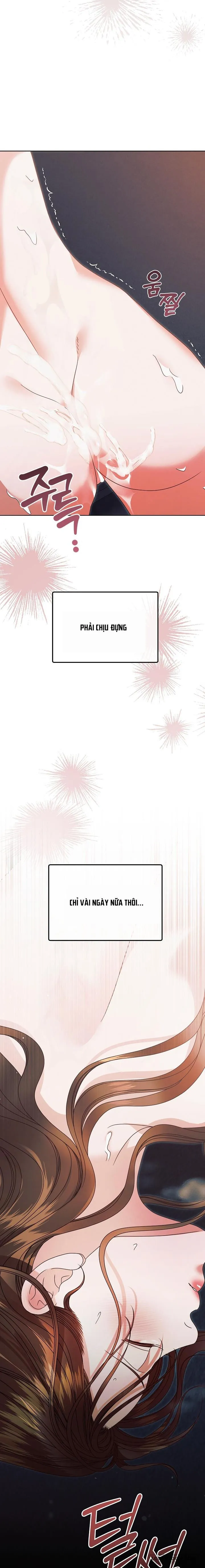 Hãy Cầu Xin Tôi Đi - Chap 41 - Trang 6