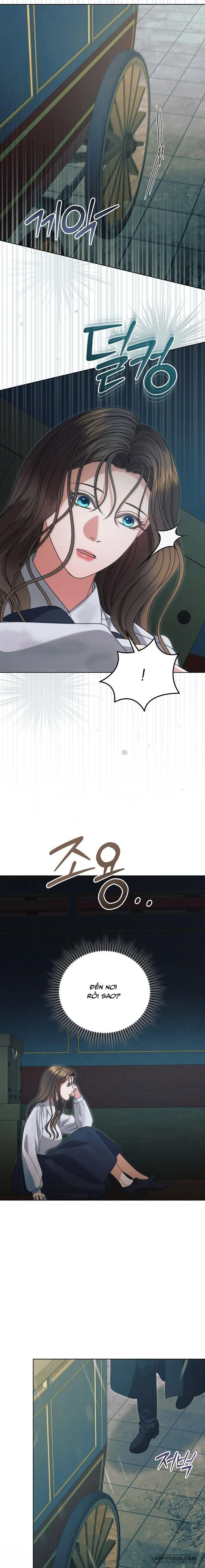 Hãy Cầu Xin Tôi Đi - Chap 50 - Trang 14