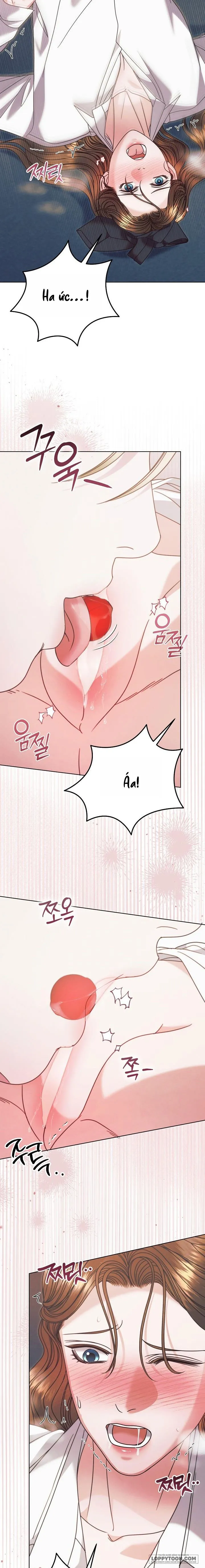 Hãy Cầu Xin Tôi Đi - Chap 68 - Trang 15