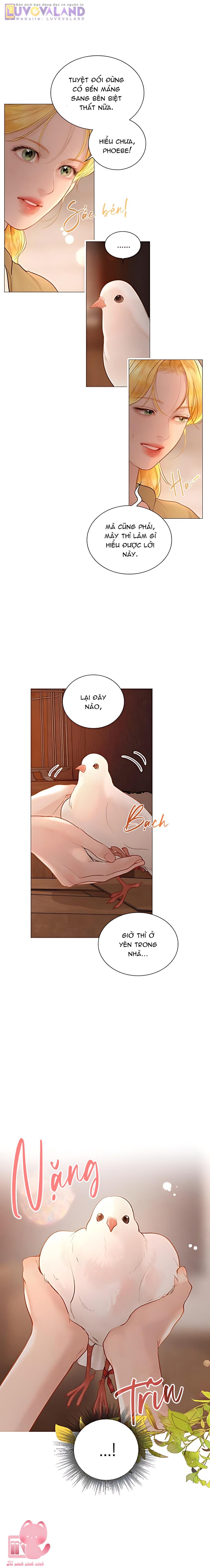 Hãy Khóc Và Cầu Nguyện Đi - Chap 63 - Trang 3