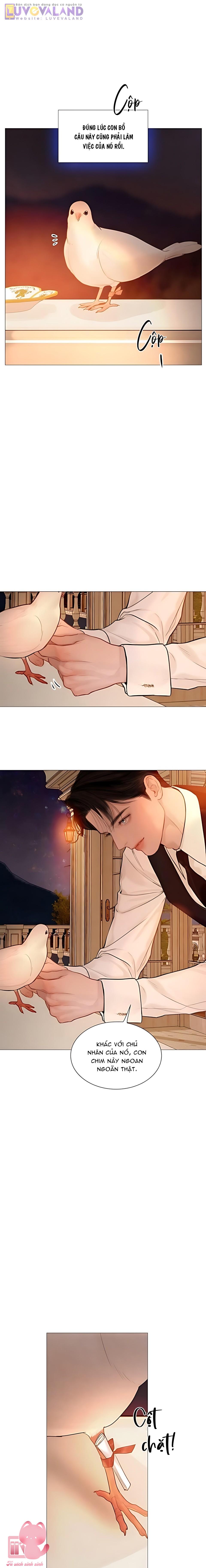 Hãy Khóc Và Cầu Nguyện Đi - Chap 64 - Trang 22