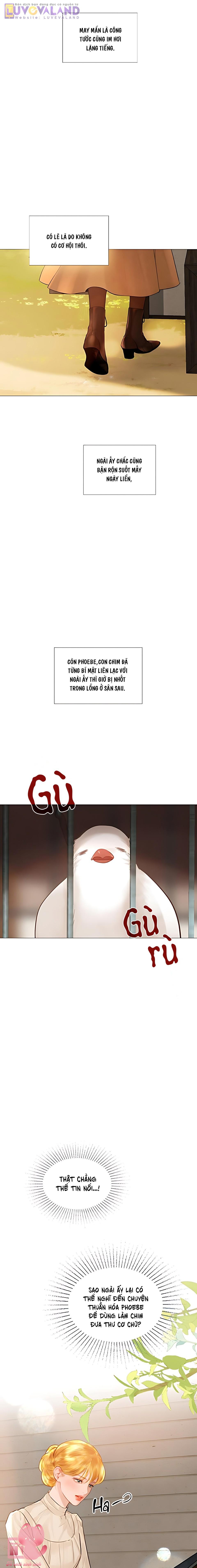 Hãy Khóc Và Cầu Nguyện Đi - Chap 65 - Trang 8