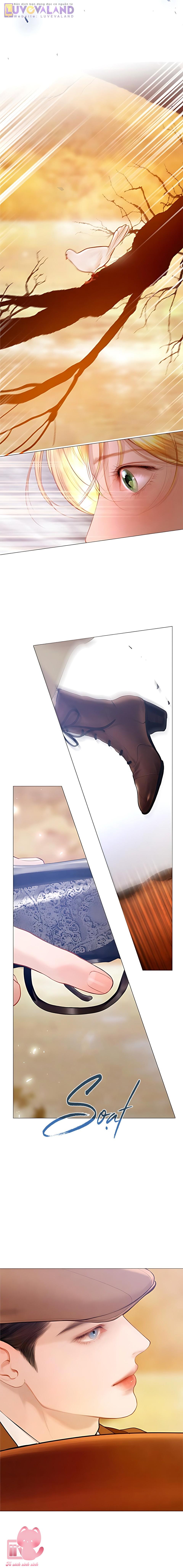 Hãy Khóc Và Cầu Nguyện Đi - Chap 74 - Trang 7