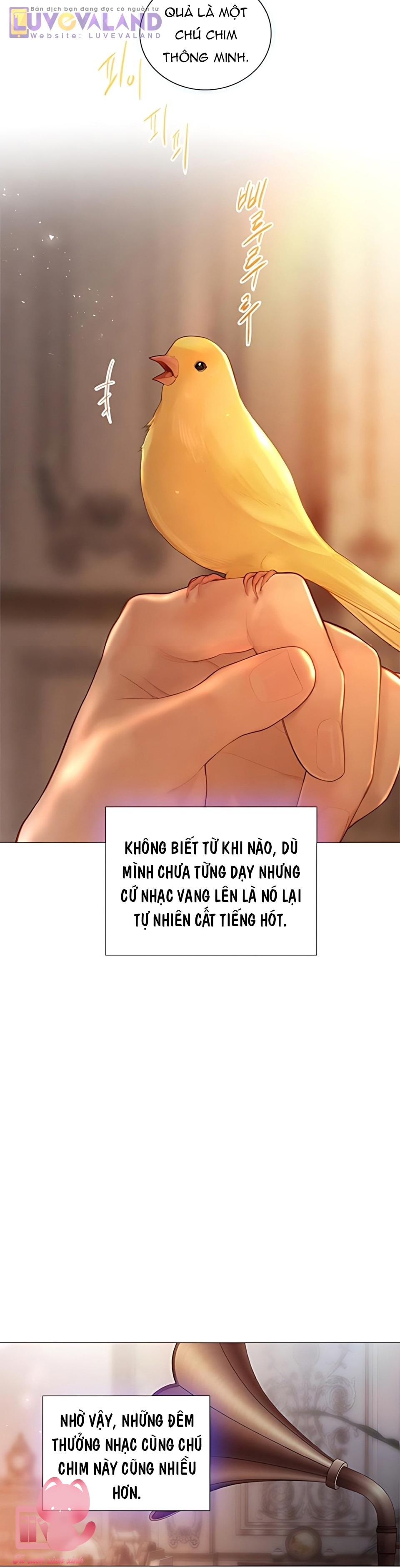 Hãy Khóc Và Cầu Nguyện Đi - Chap 84 - Trang 37